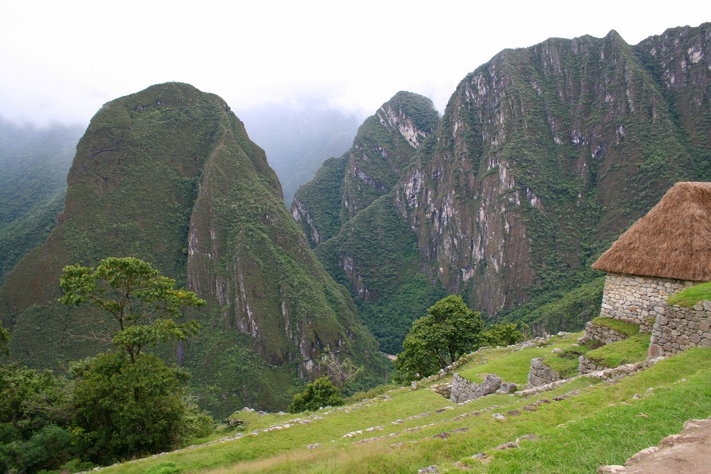 s-70104072.jpg