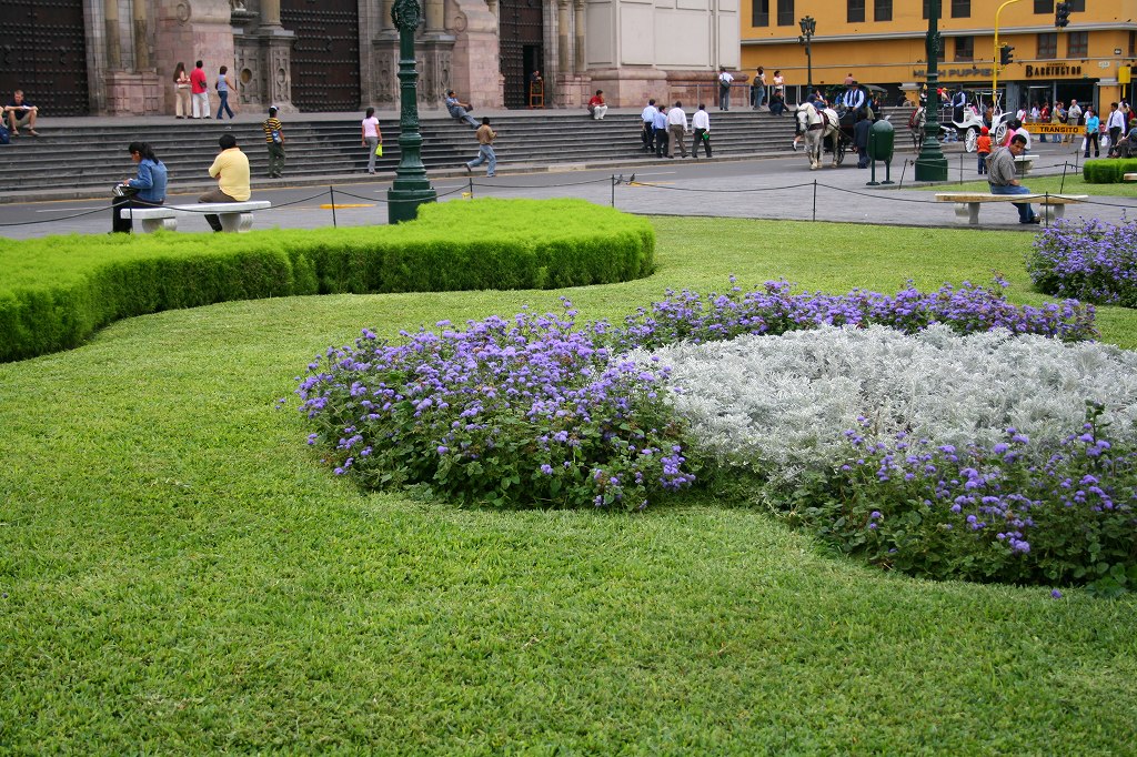 s-70105006.jpg
